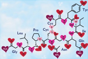 oxytocina 1