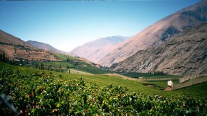 VeranoFMDOS: Valle del Elqui