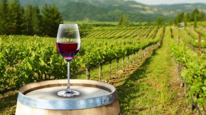 Los beneficios de tomar una copa de vino al día