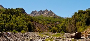 Reserva Nacional Altos de Lircay
