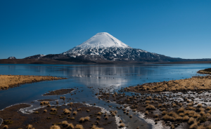 Los imperdibles de: La región Arica y Parinacota