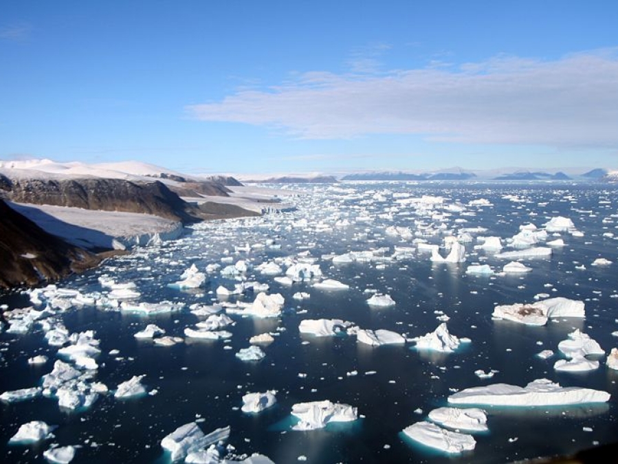 Las celebridades buscan salvar el ártico