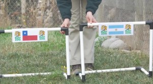 Mira quién gana la final de mañana según Zincha