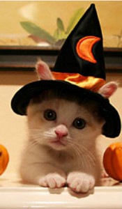 Halloween: Los disfraces más entretenidos para tu mascota