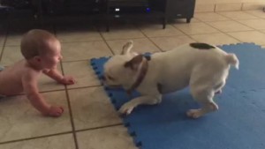 Guagua se ríe con los juegos de su perro