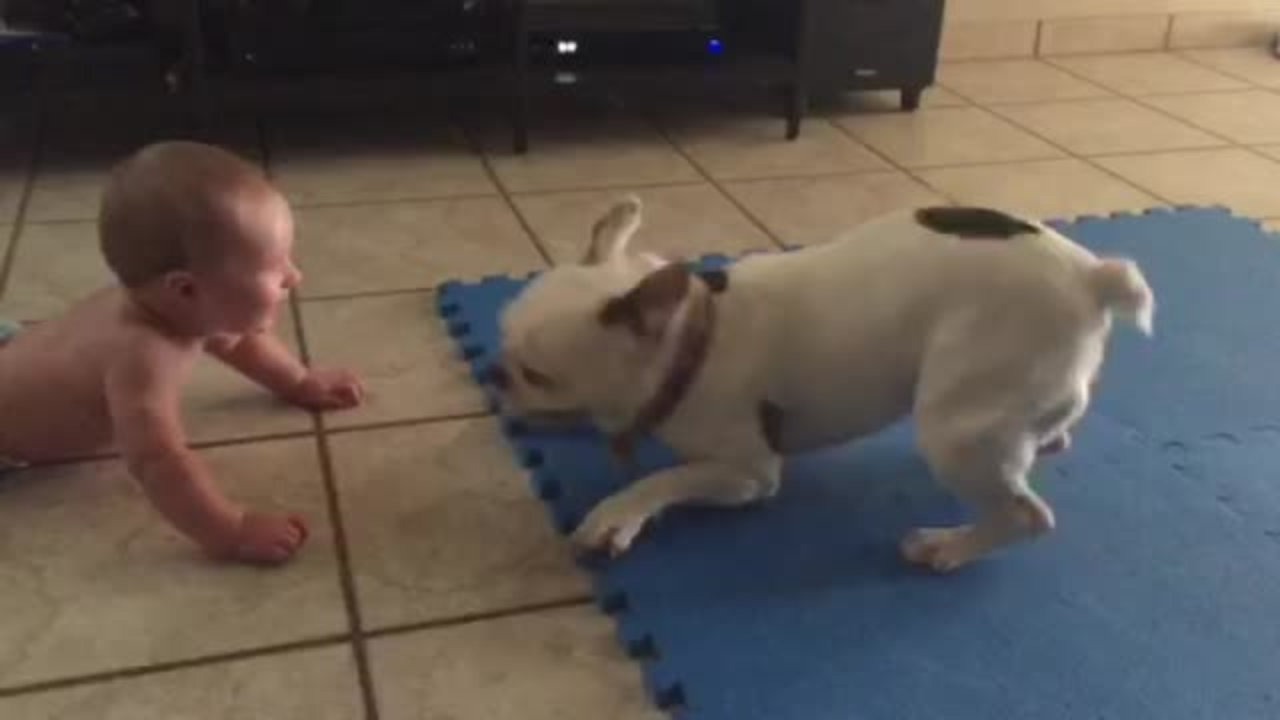 Guagua se ríe con los juegos de su perro