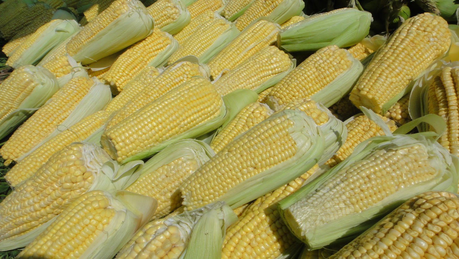 ¿Sabes cómo limpiar tu organismo y dejar atrás la retención de líquidos?