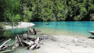 Leonardo DiCaprio comparte mensaje para proteger el río chileno Puelo