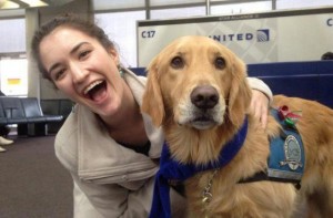 Equipo de perros al rescate de los viajeros nerviosos