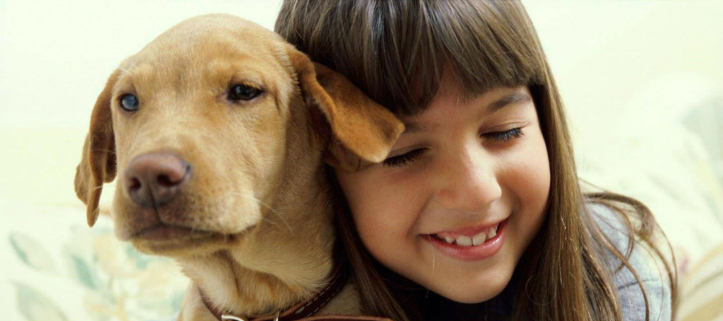 Adopta un perrito de manera responsable