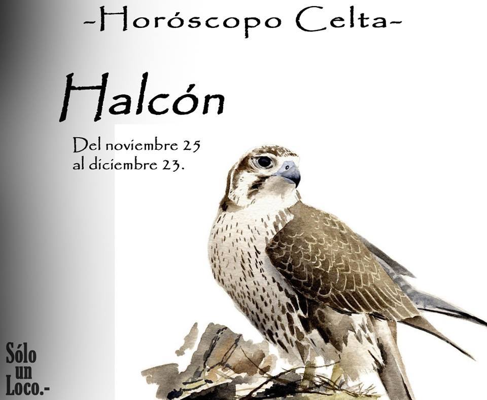 Horos Halcón