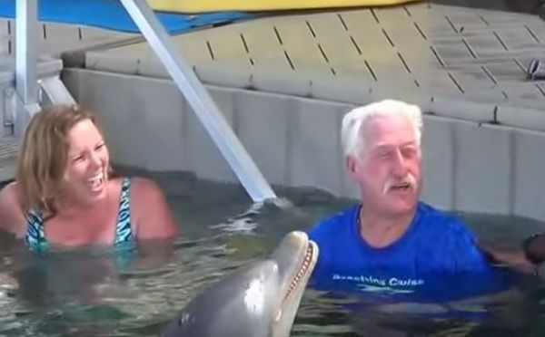 Así es el encuentro entre un hombre y un delfín — FMDOS