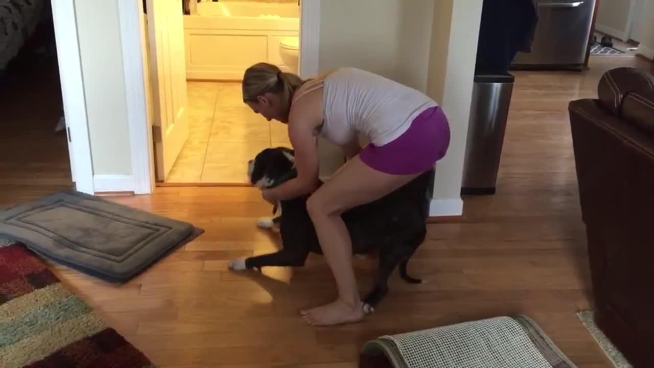 ¡Un rebelde! Este perro no quiere bañarse