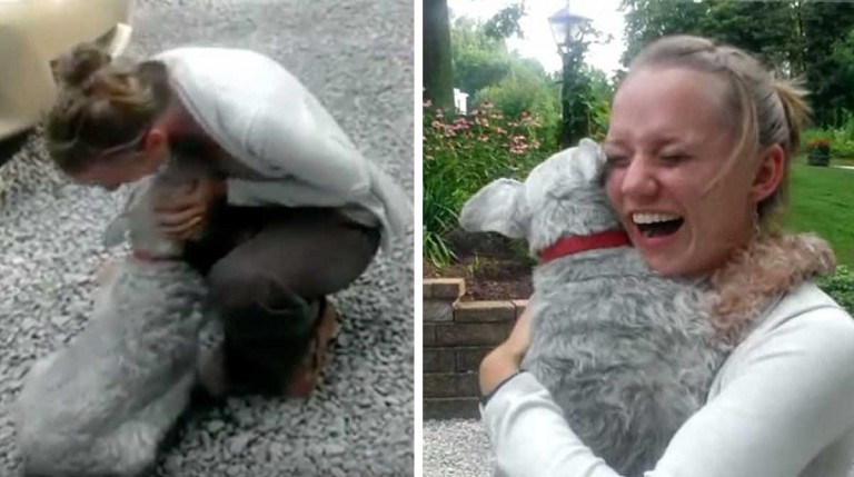 La reacción de una perrita al ver a su dueña después de 2 años