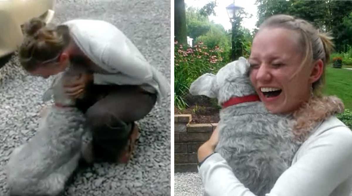 La reacción de una perrita al ver a su dueña después de 2 años