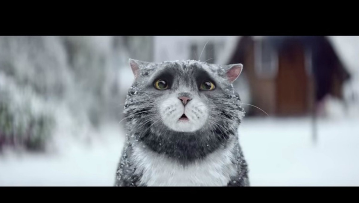 El comercial de un gato en navidad que se ha vuelto viral