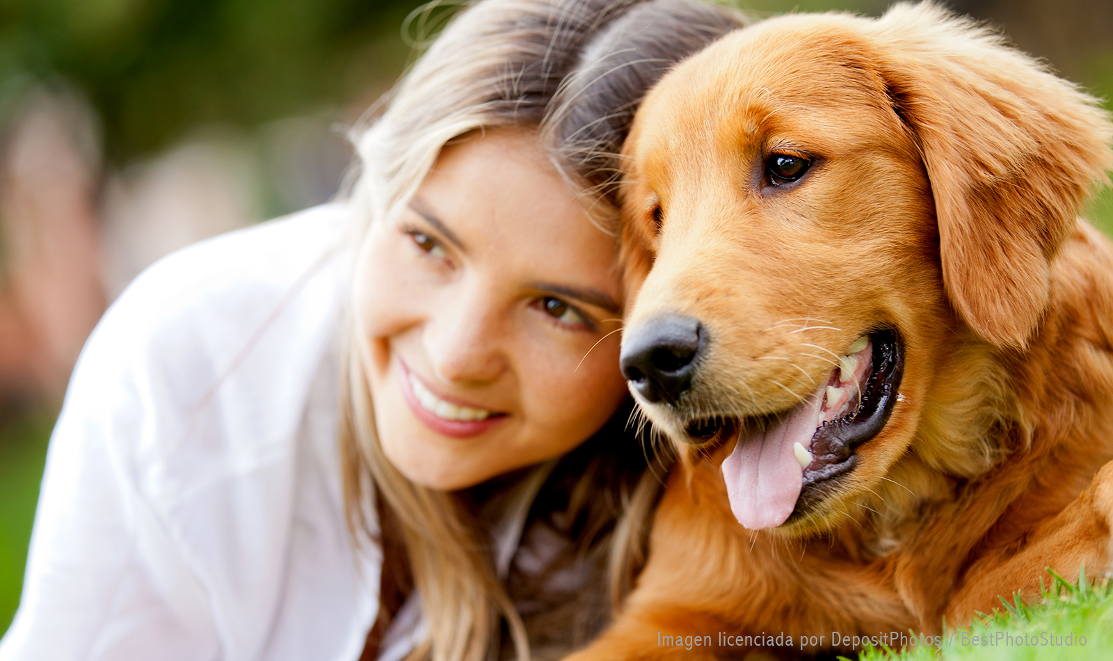 Estudio: ¿Por qué los perros se parecen a sus dueños?