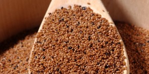 Teff: la nueva Quinoa