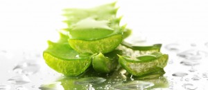 Conoce los grandes beneficios de congelar el aloe vera