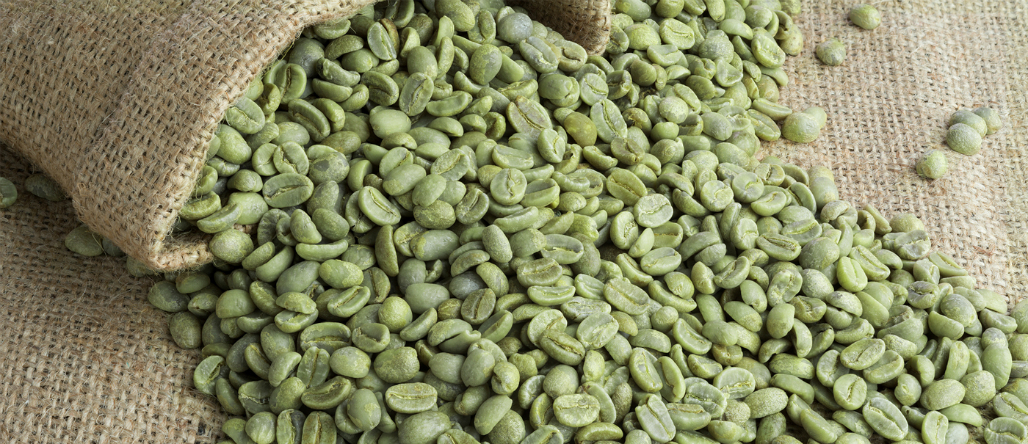 Conoce las propiedades del café verde