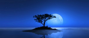 La luna se despide en la última semana de enero