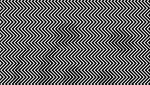 #JuegoFMDOS ¿Puedes ver al panda?