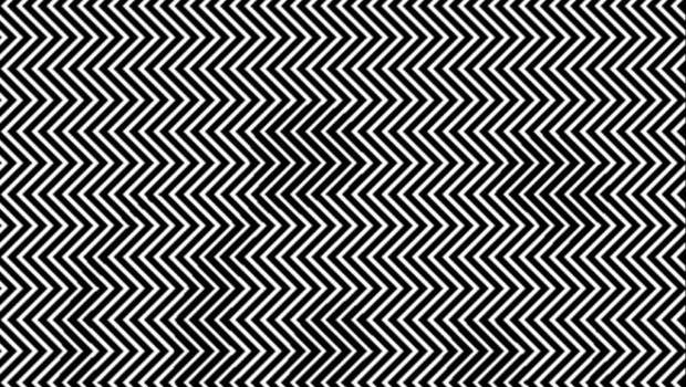 #JuegoFMDOS ¿Puedes ver al panda?