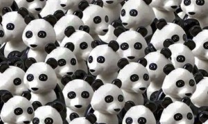 #JuegoFMDOS Encuentra al perro oculto entre los pandas
