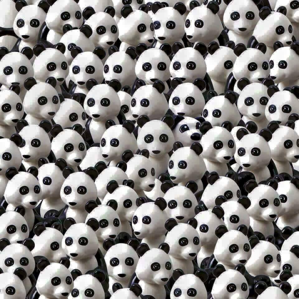 JuegoFMDOS perro panda