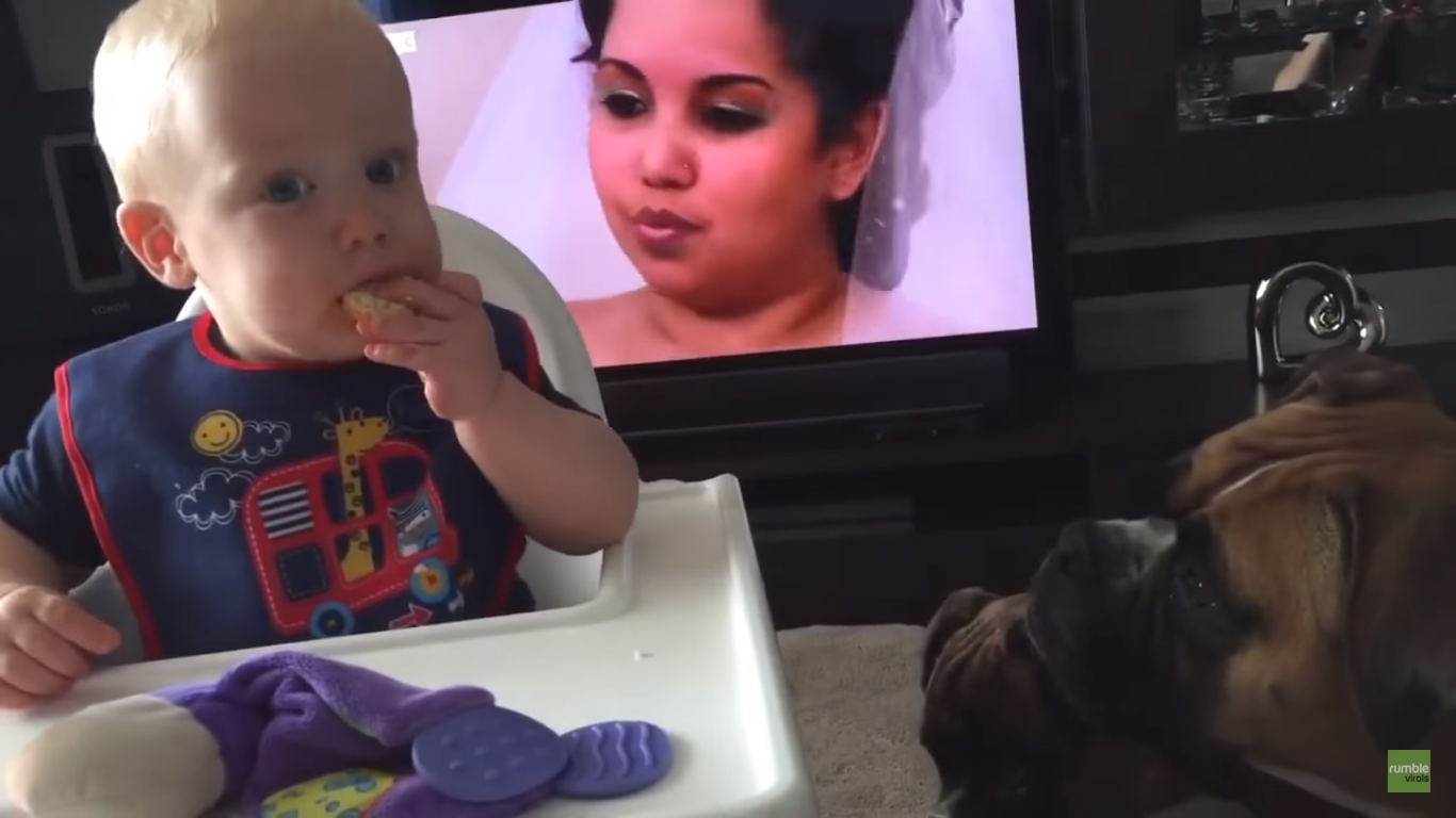 Tierno niño comparte su galleta con mascota
