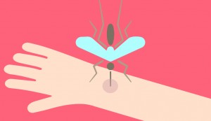 Todo lo que debes saber sobre el virus zika