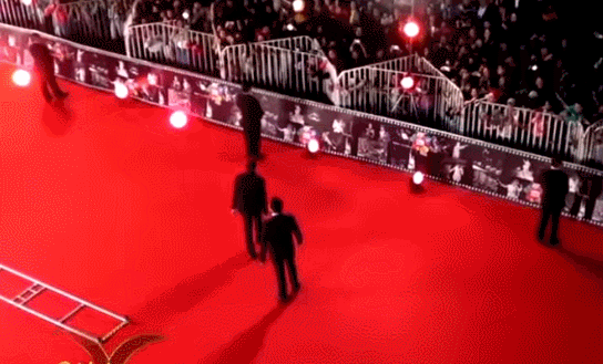 Alfombra roja Viña 1