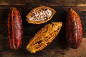 Cacao orgánico, un superalimento que debes probar