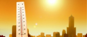 Ola de calor: Onemi declara alerta temprana preventiva para el monitoreo de incendios forestales