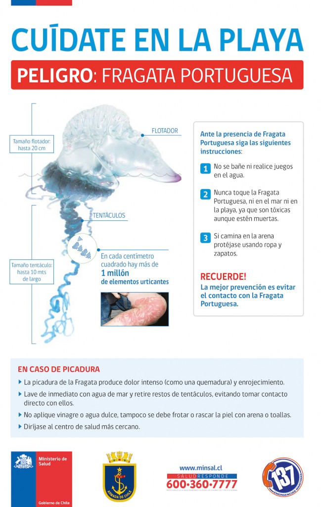 AFICHE_FRAGATA PORTUGUESA_final