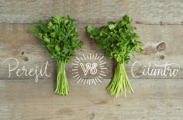 Perejil 5