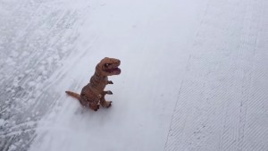 ¿Imaginas a un Tiranosaurio Rex, haciendo un ángel de nieve?