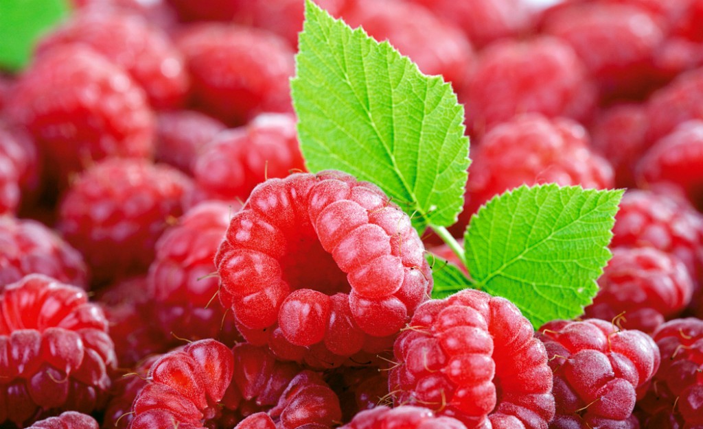 ¿Te gustan los berries? Una deliciosa opción son las frambuesas porque regulan tus niveles de azúcar y son bajas en calorías. Además, es buenísimo para no estresarse y tiene muchos antioxidantes y vitamina C.