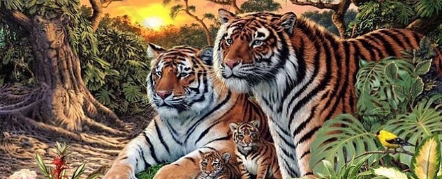 #JuegoFMDOS ¿Cuántos tigres hay en la imagen?