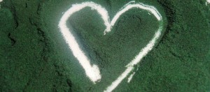 Spirulina, el alga ideal para las embarazadas