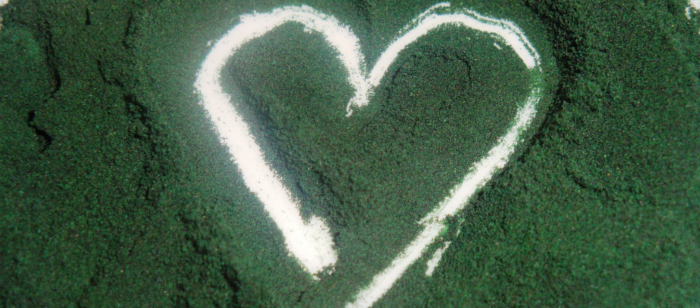 Spirulina, el alga ideal para las embarazadas
