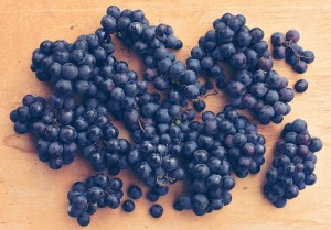 Harina de uva orgánica, gran poder antioxidante