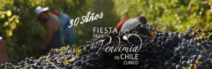 Fiesta de la Vendimia de Curicó: Los artistas que se presentarán