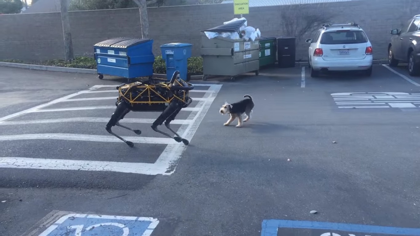 ¡No serán muy amigos! El encuentro entre un perro y un perro robot