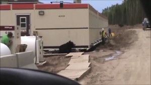 ¡Cuidado con el oso! Mira la graciosa broma