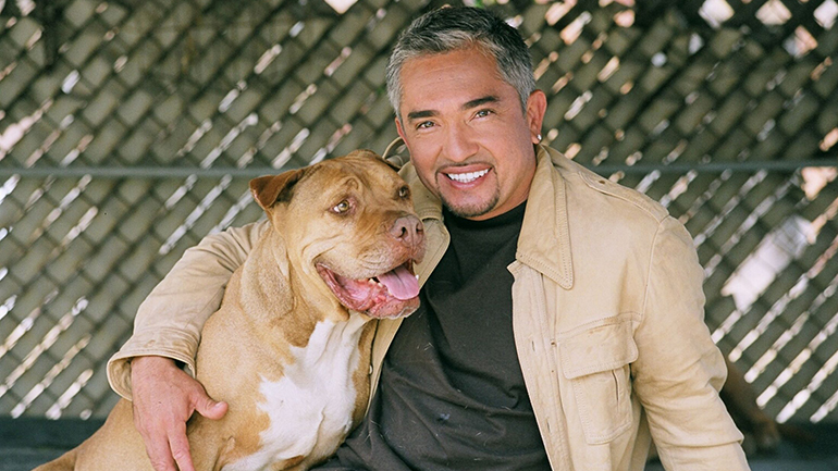 En Estados Unidos investigan al "Encantador de perros"