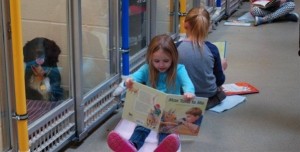 ¿Te gustaría leerle cuentos a perros abandonados?