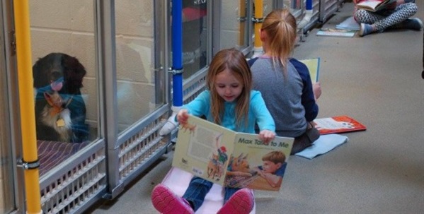 ¿Te gustaría leerle cuentos a perros abandonados?