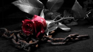 Alerta de amor prohibido en reality