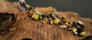 Cocina mapuche: sus increíbles sabores y propiedades medicinales